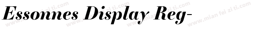Essonnes Display Reg字体转换